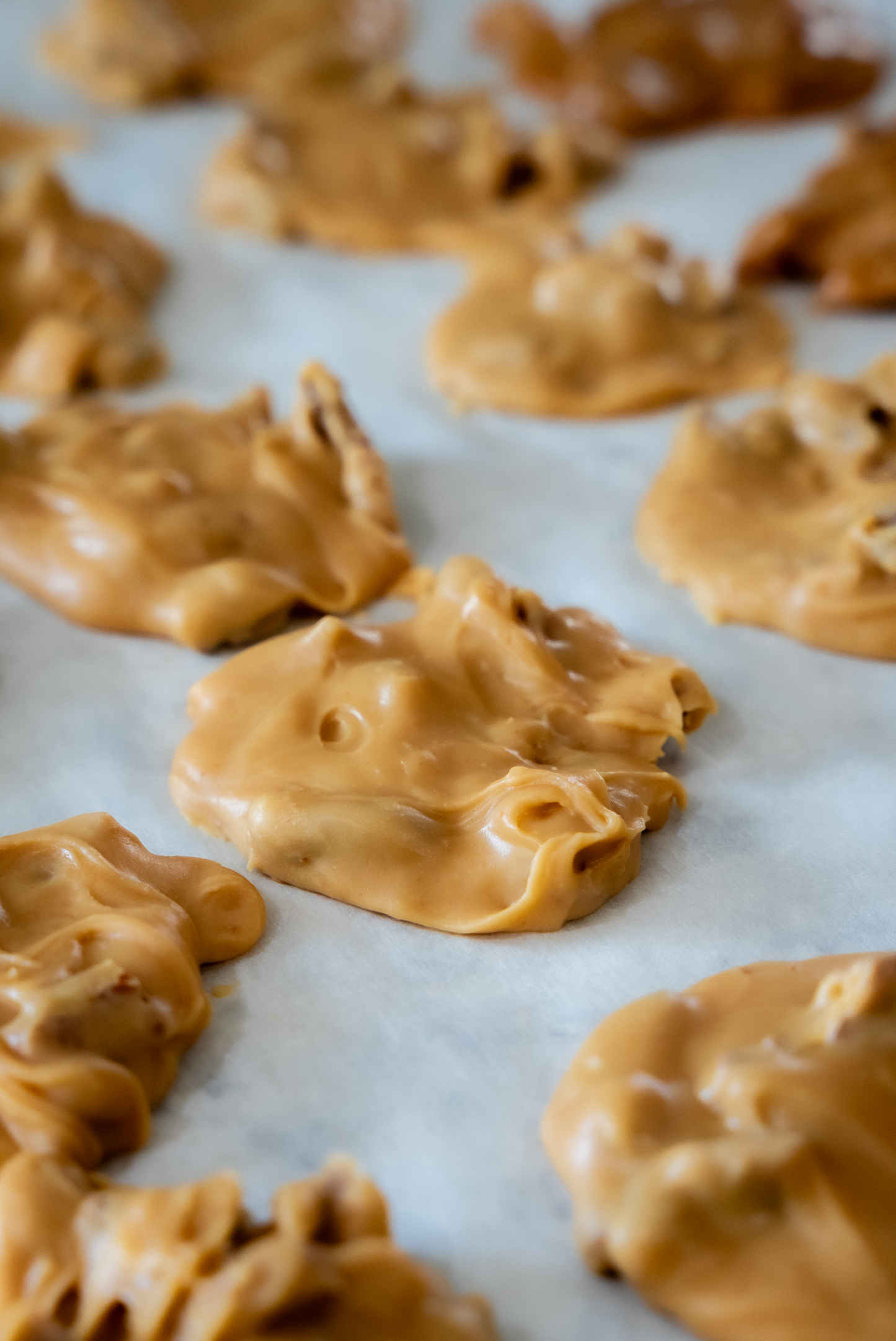 Classic Pecan Praline