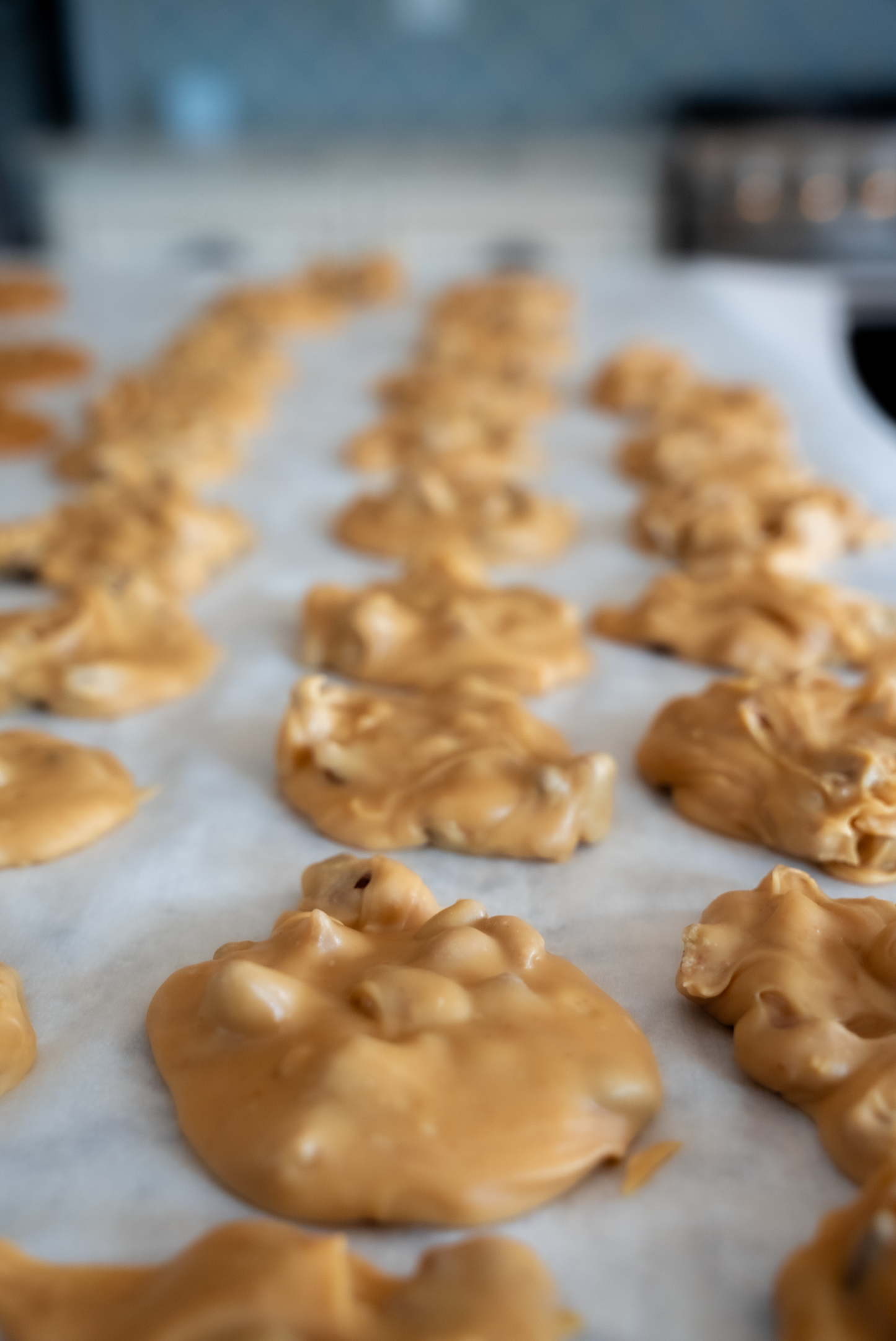 Classic Pecan Praline